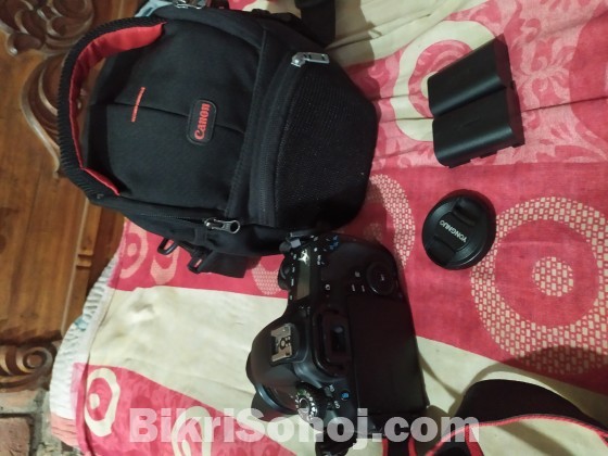 Canon 60 d,with prime lens,professional body